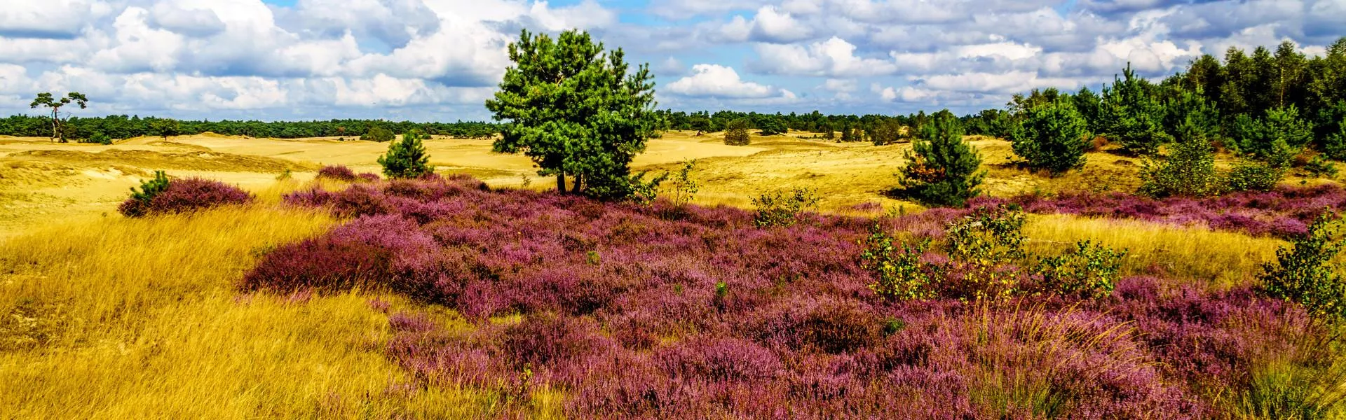 Gelderland