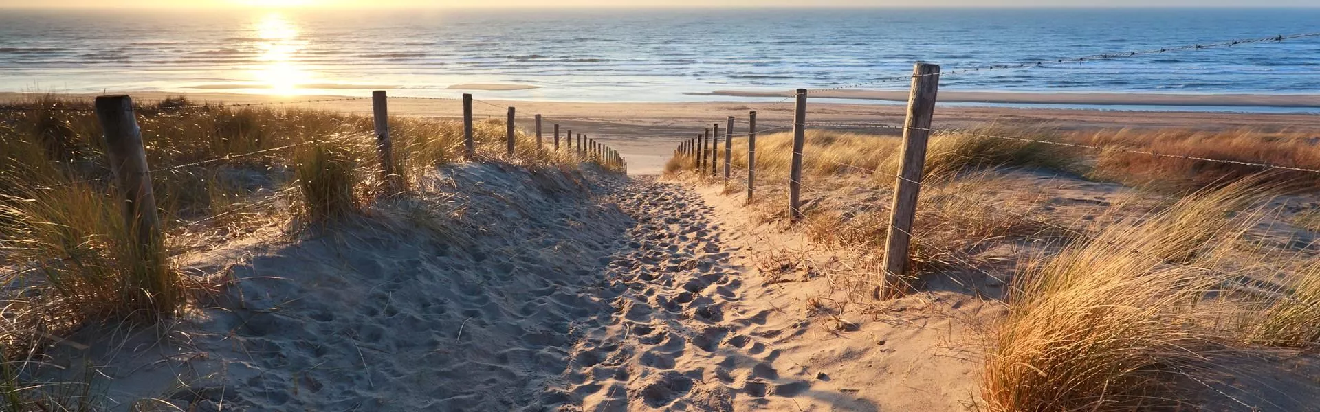 Genieten op een vakantiepark in Zuid-Holland