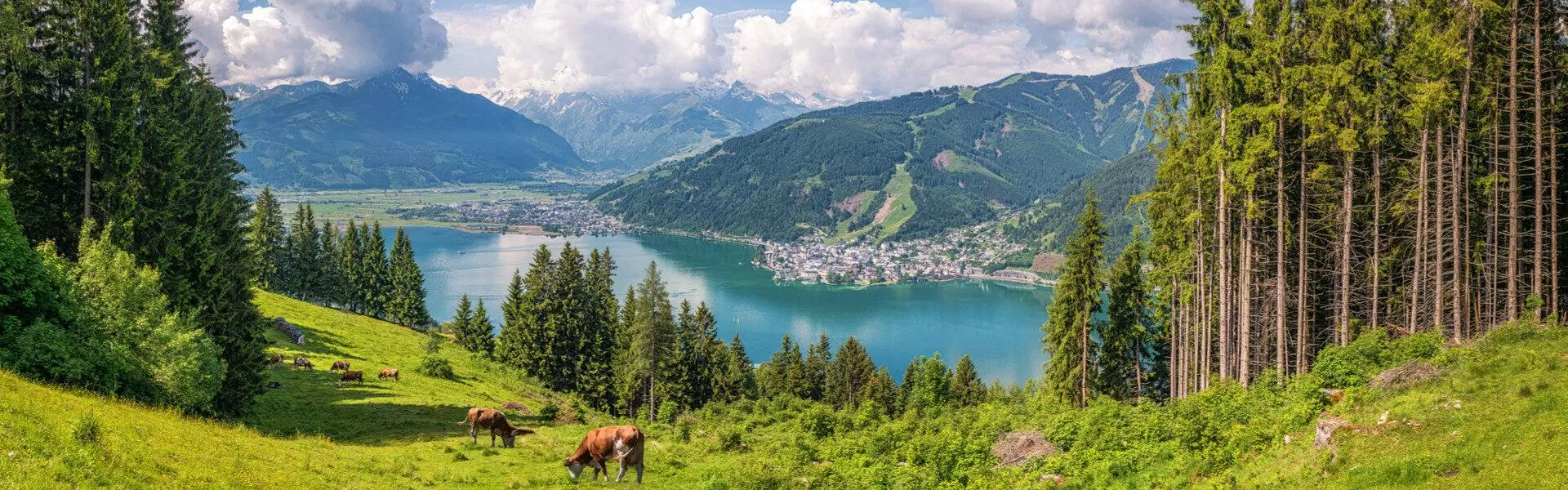 Genieten op een vakantiepark in Salzburg