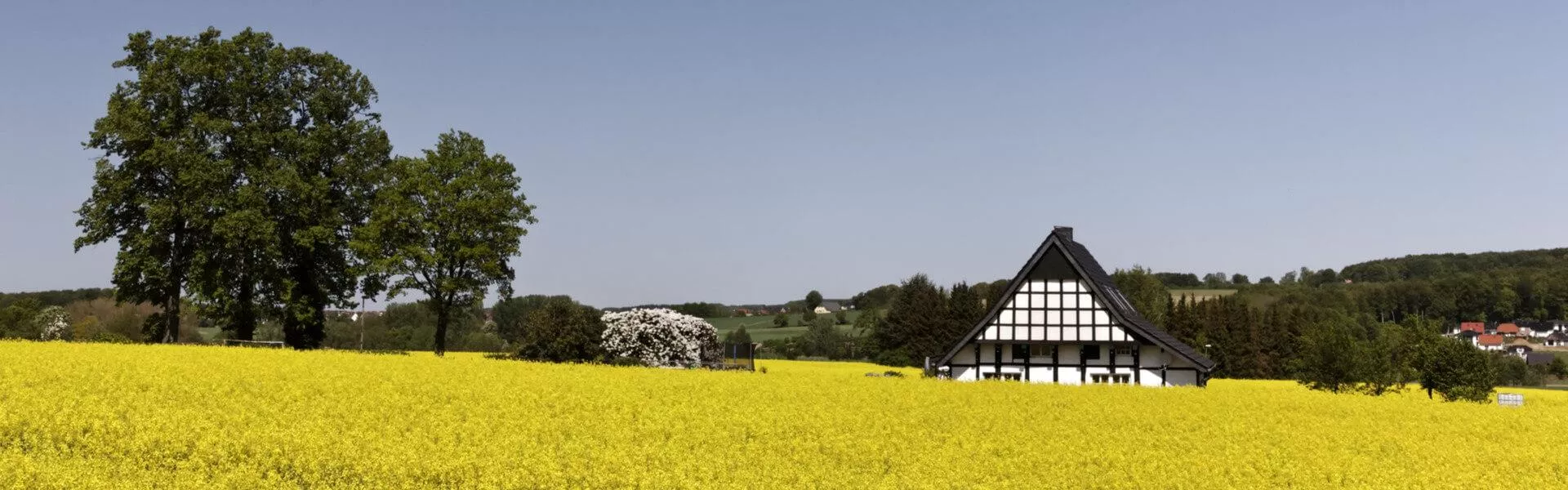 Genieten op een vakantiepark in Nedersaksen