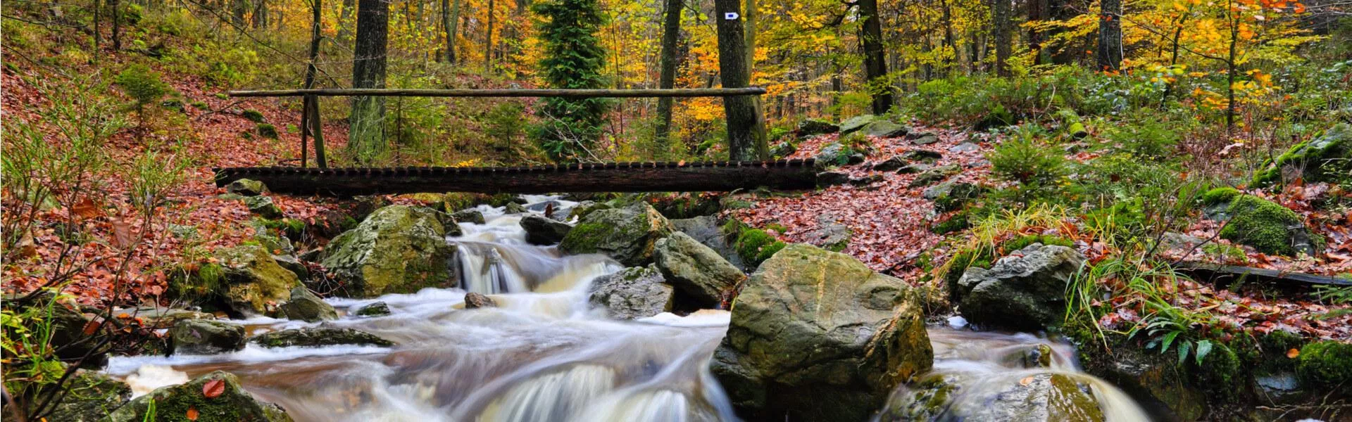 Genieten op een vakantiepark in Ardennen