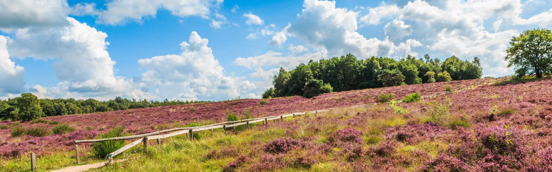 Genieten op een vakantiepark in Hoogeveen