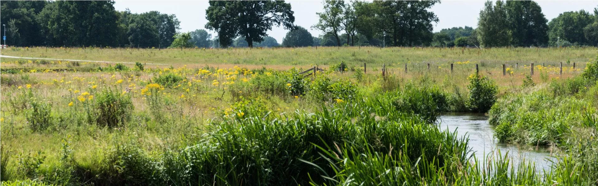 Genieten op een vakantiepark in Hardenberg