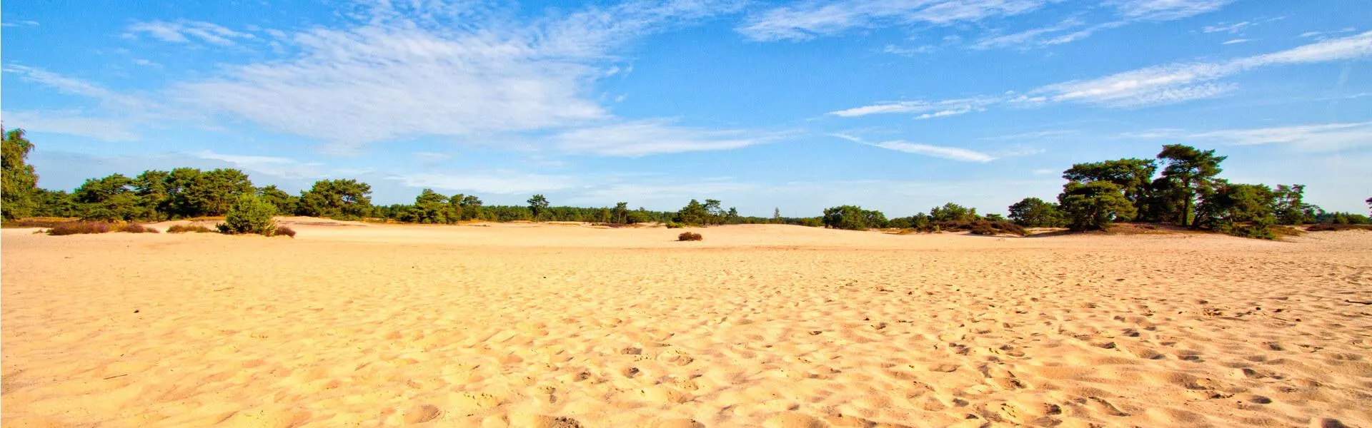 Genieten op een vakantiepark in Utrechtse heuvelrug