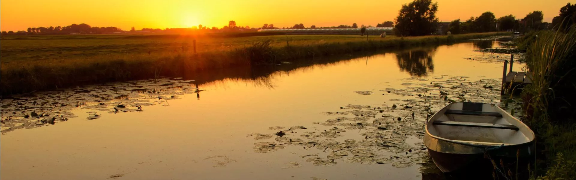 Genieten op een vakantiepark in Westland