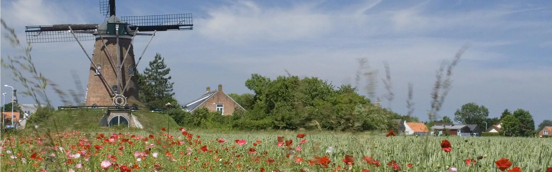 Genieten op een vakantiepark in Zeeuws-Vlaanderen