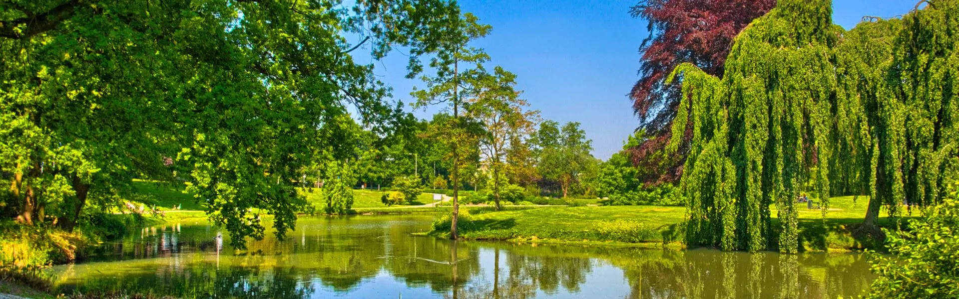 Genieten op een vakantiepark in Bergen op Zoom