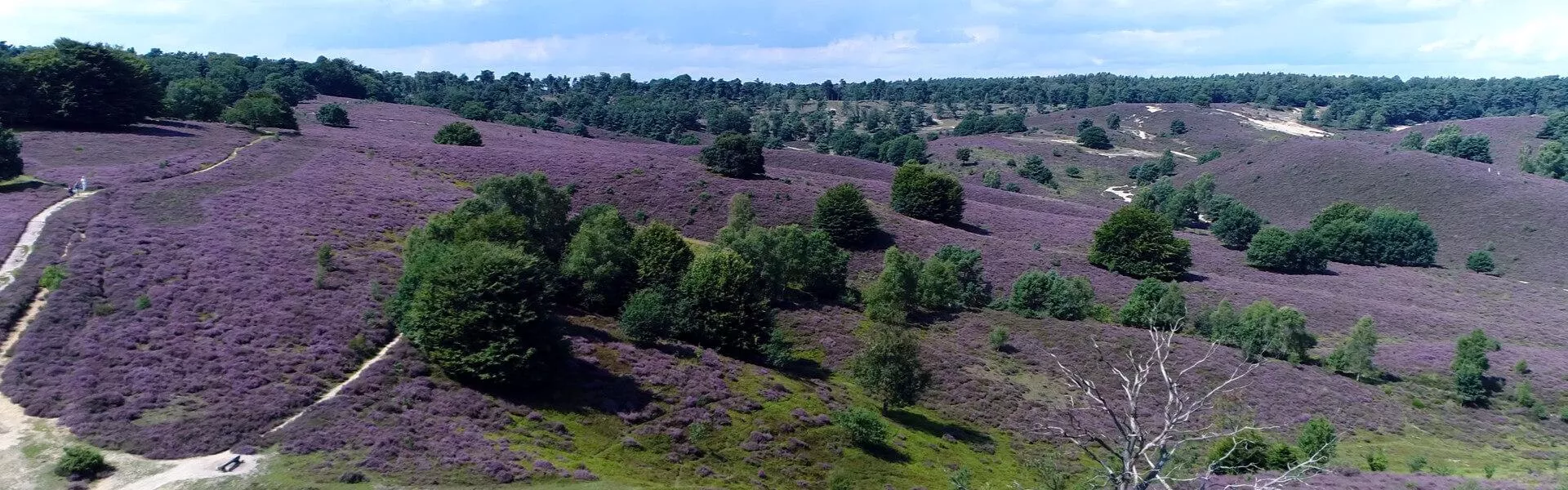 Genieten op een vakantiepark in Sallandse Heuvelrug