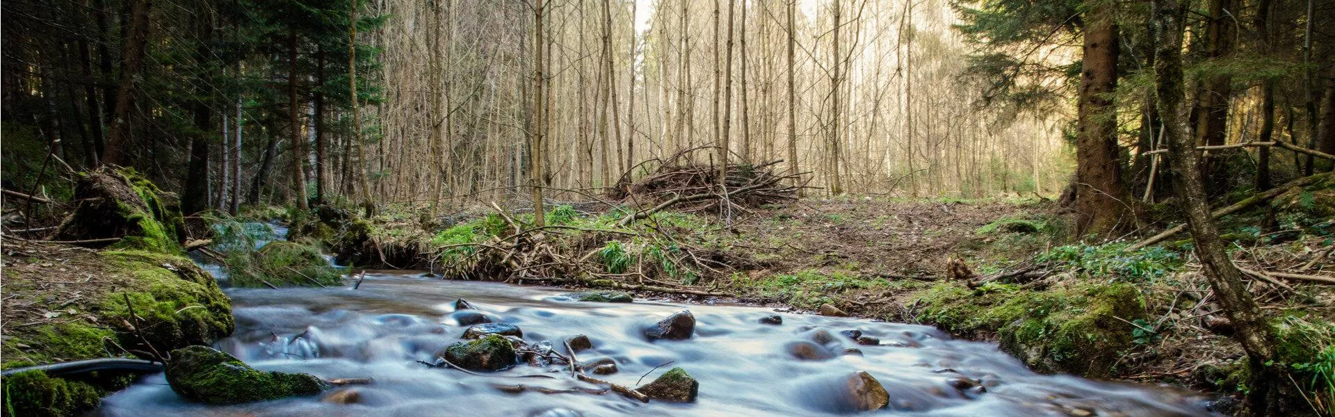 Genieten op een vakantiepark in Beierse Woud