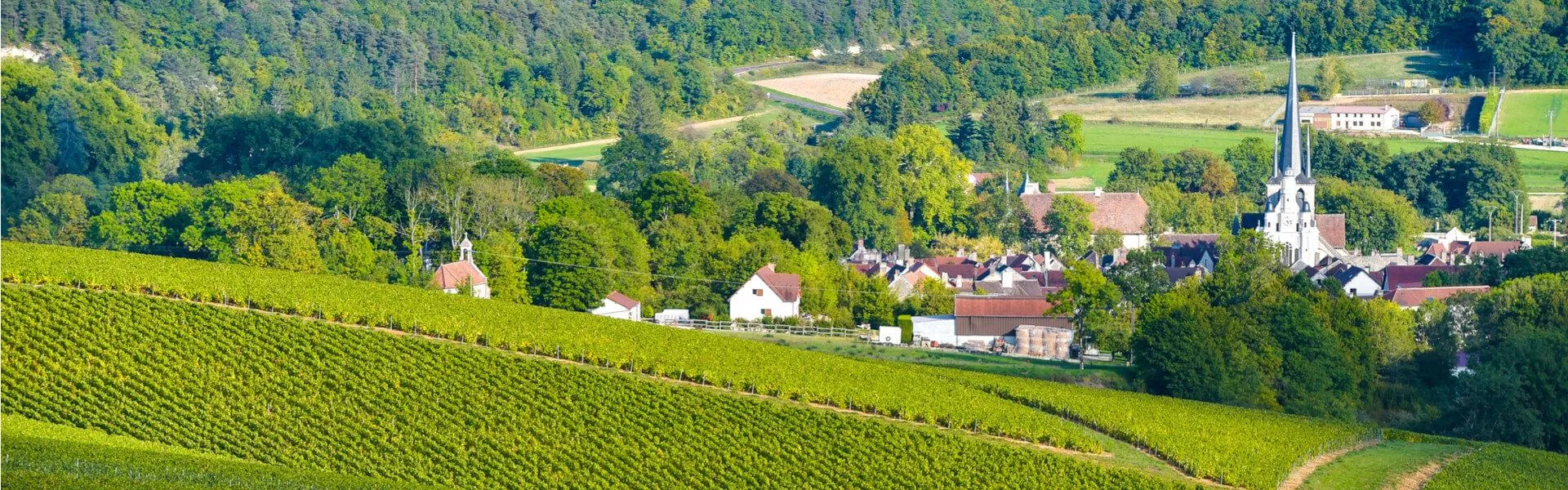 Genieten op een vakantiepark in Champagne-Ardenne