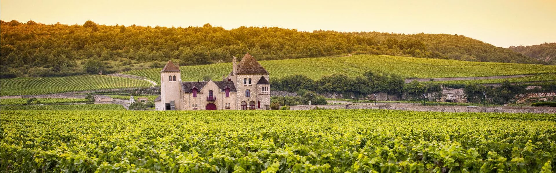 Genieten op een vakantiepark in Bourgogne-Franche-Comté