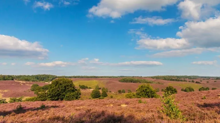 EuroParcs Hoge Kempen