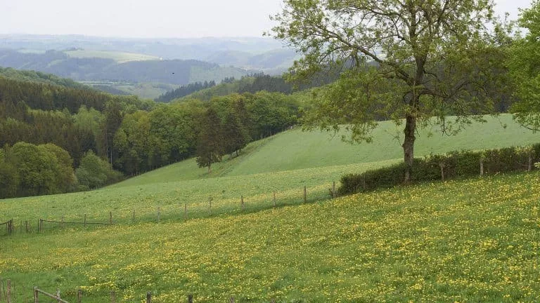 Domaine de la Sapinière