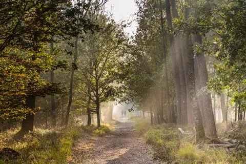 EuroParcs de Hooge Veluwe