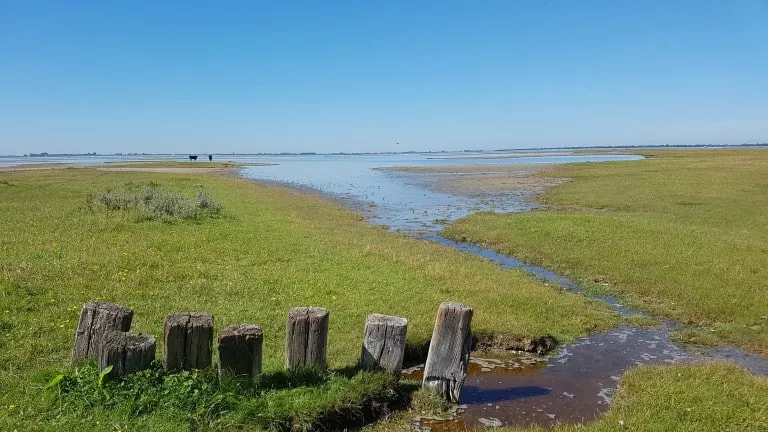 Park Zeedijk