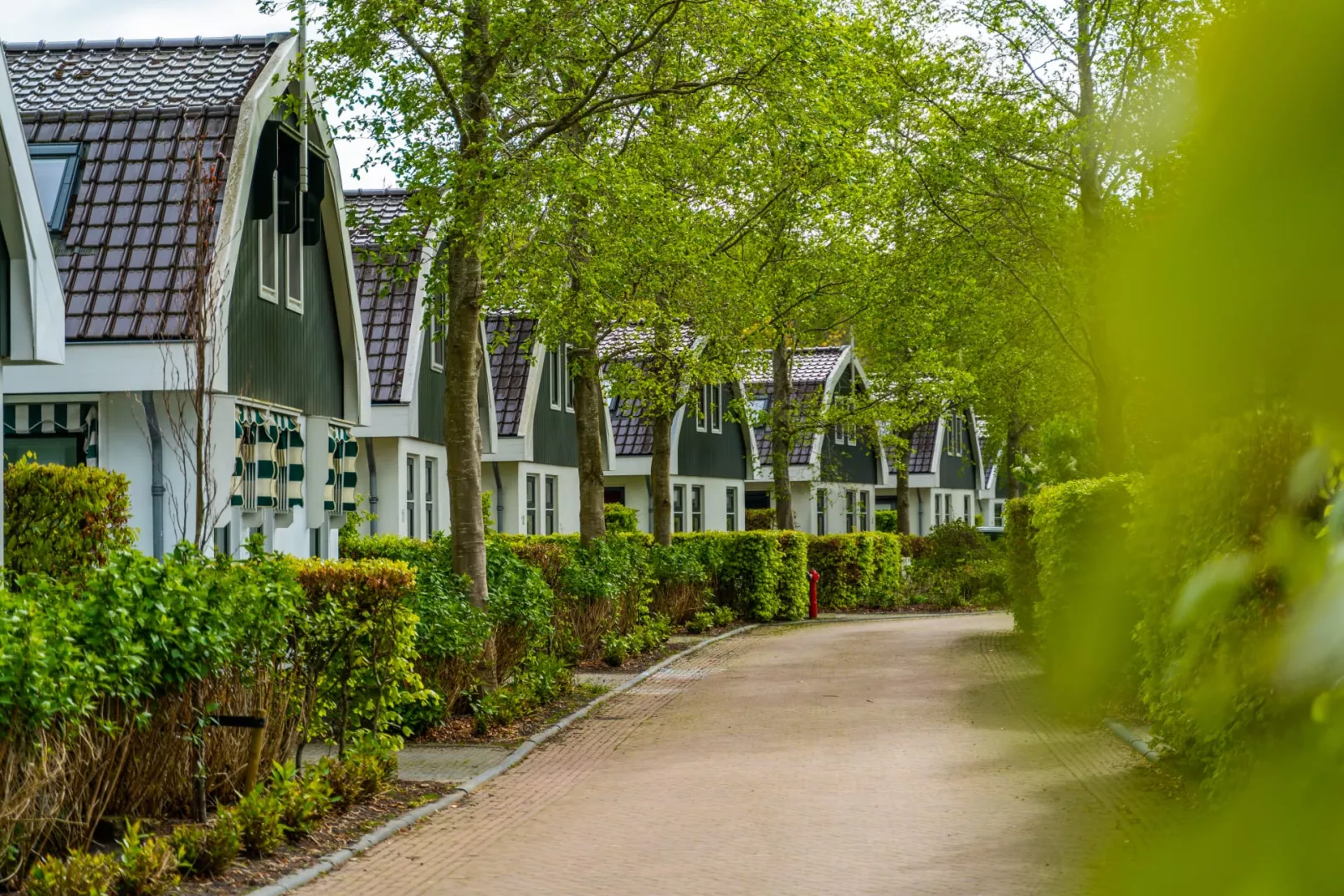 EuroParcs Koningshof