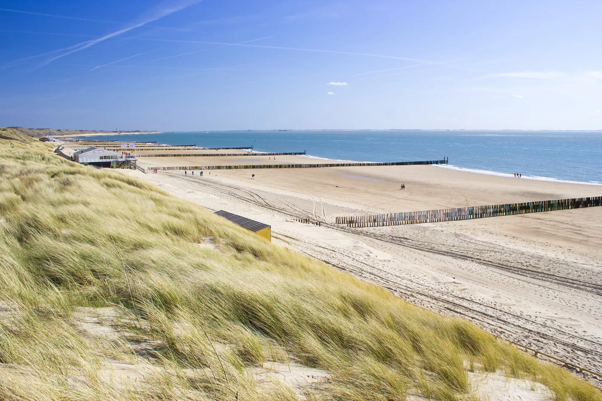 strand gefotografeerd vanuit de duinen. Golfbreekpaaltjes onderbreken het strand. Blauwe zee op de achtergrond