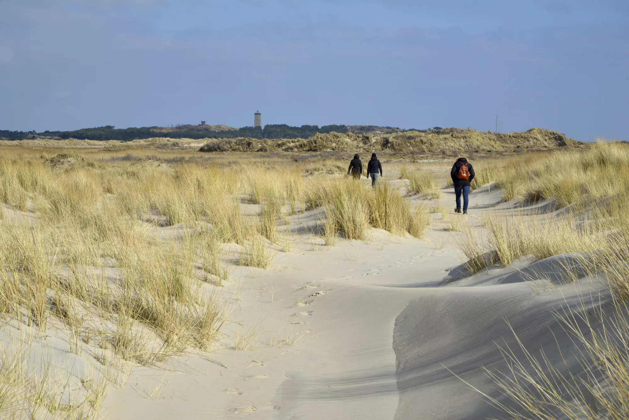 mensen wandelen op in een duingebied