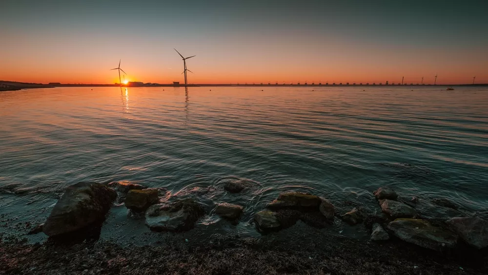 Duiken in de Oosterschelde