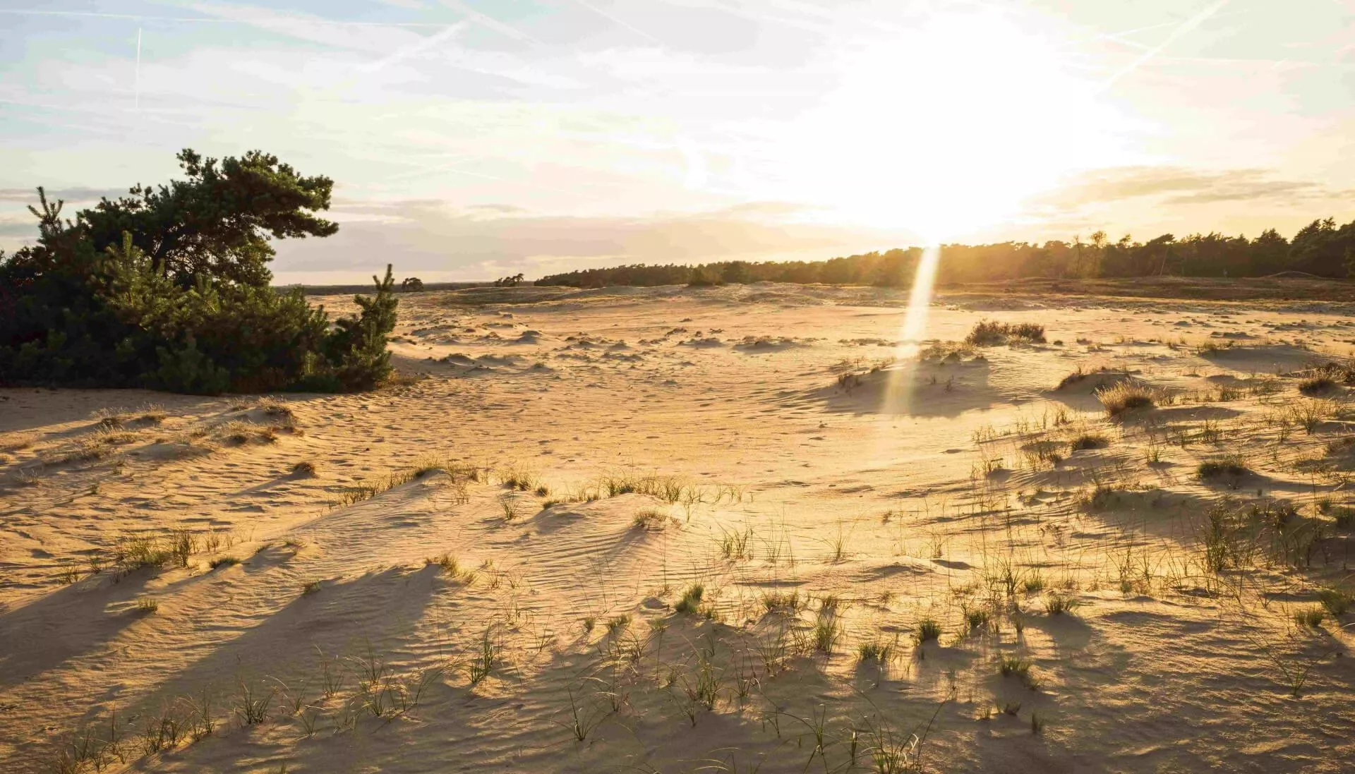 De leukste campings in Gelderland