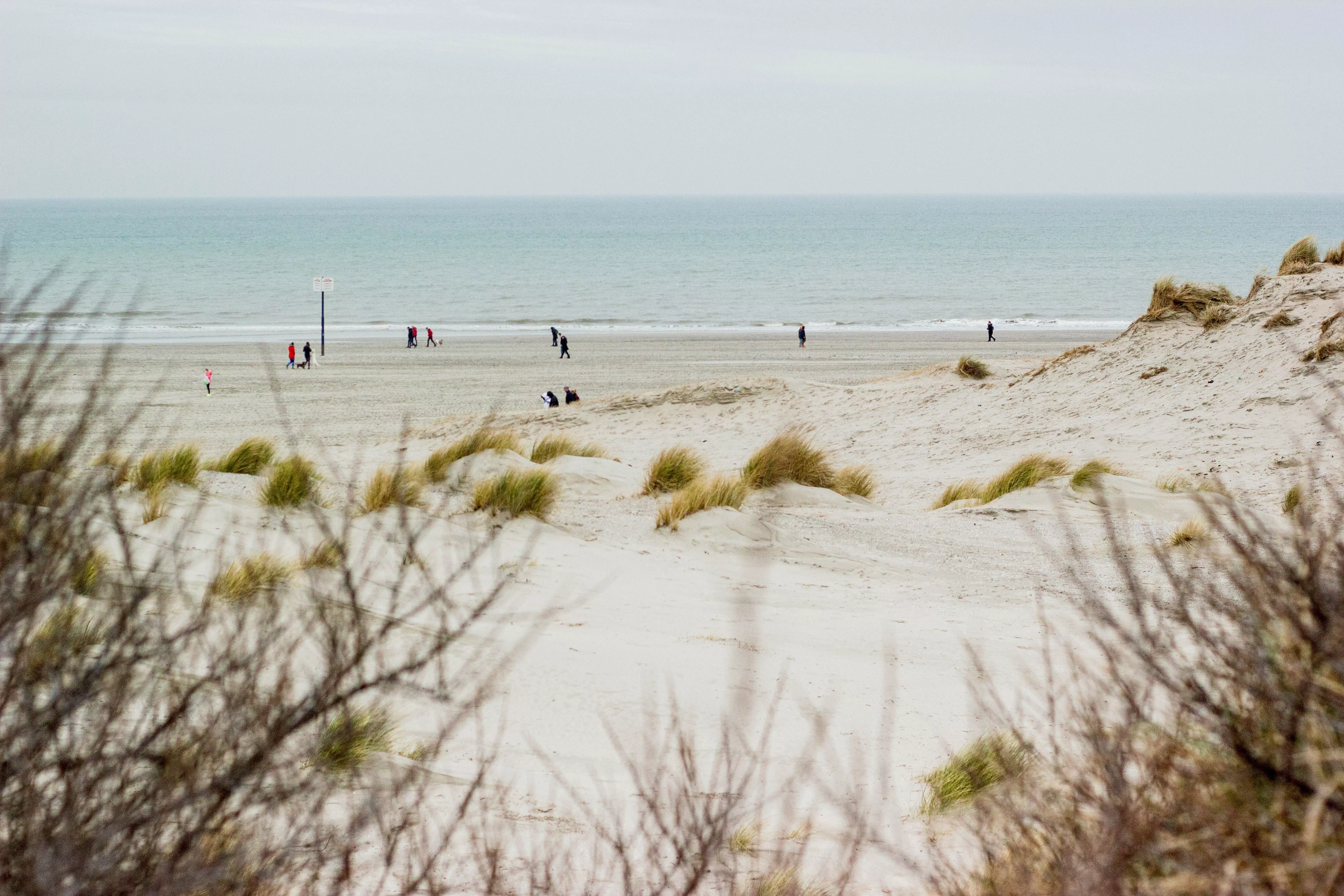 De leukste campings in Zuid-Holland