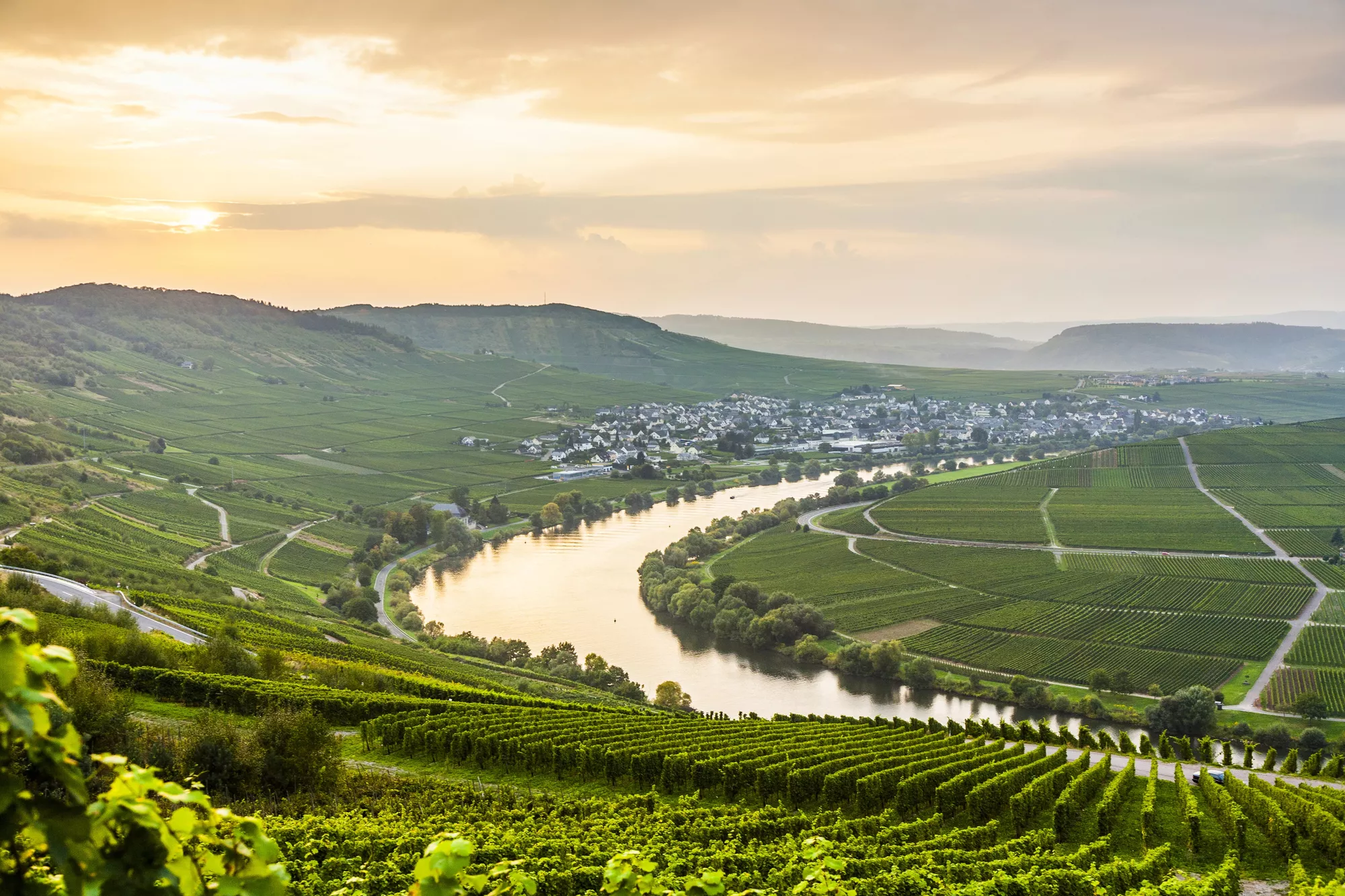 Vallei met glooiende heuvels met wijnranken, rivier de moezel in het midden