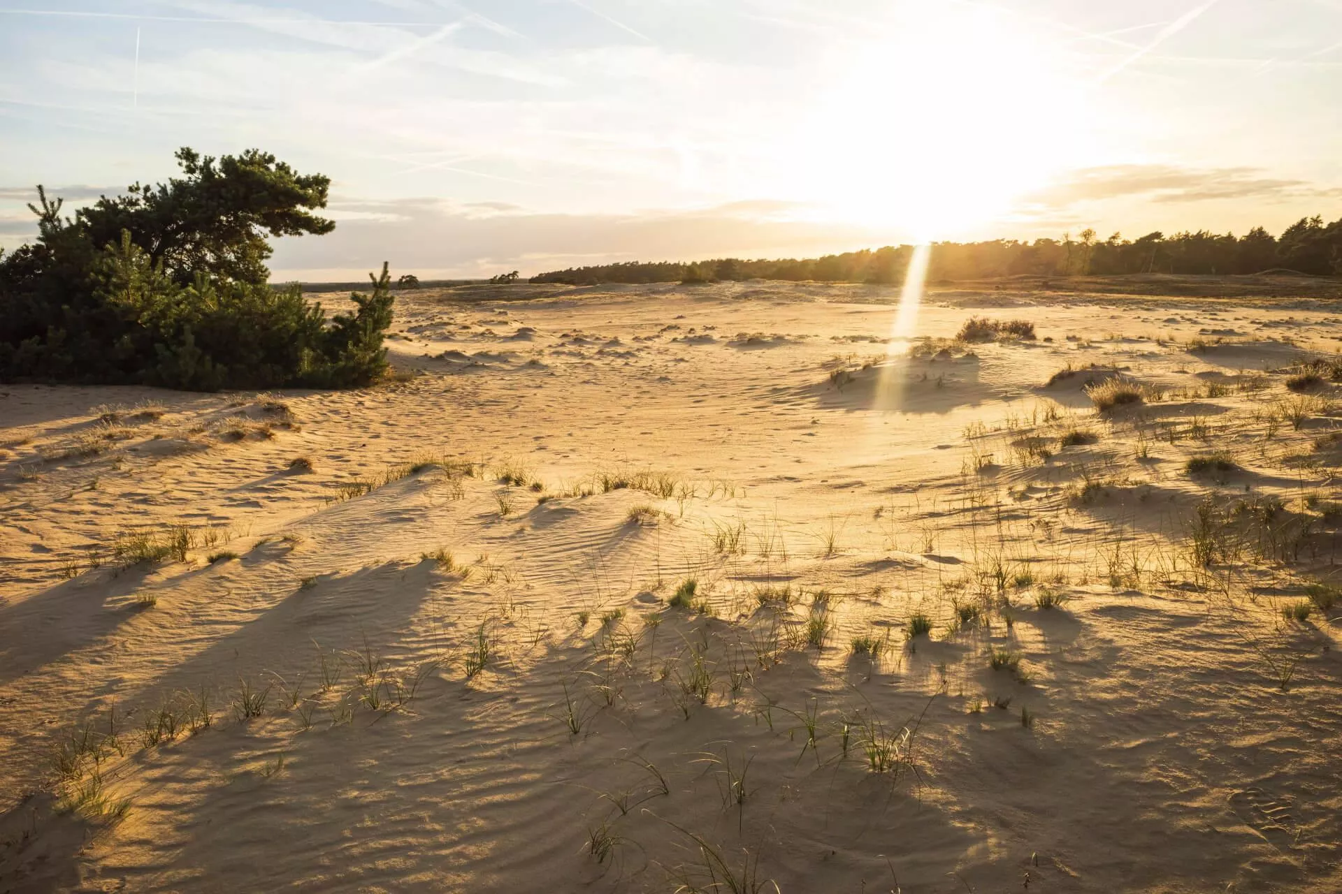 Een vakantiehuis in de natuur in Nederland boeken