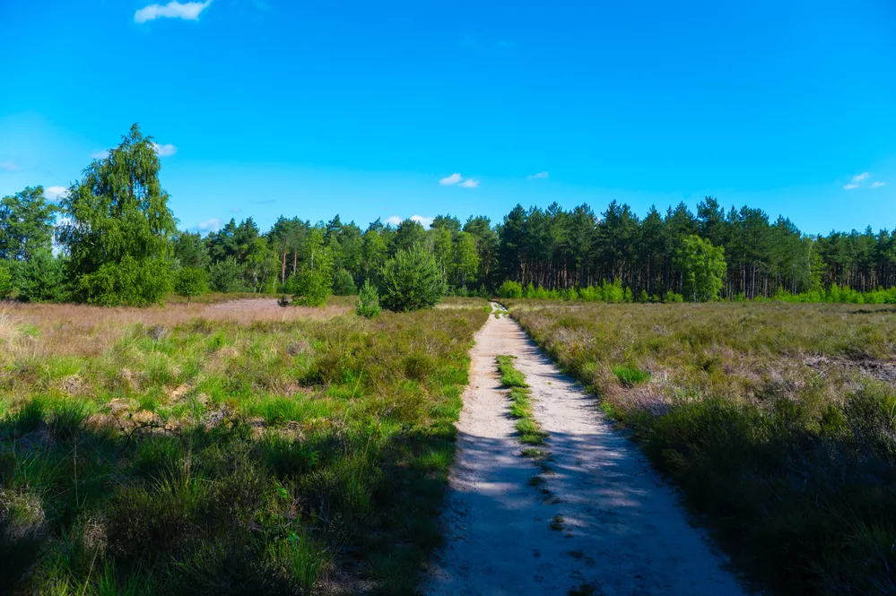 De top 4 mooiste wandelroutes in Noord-Brabant