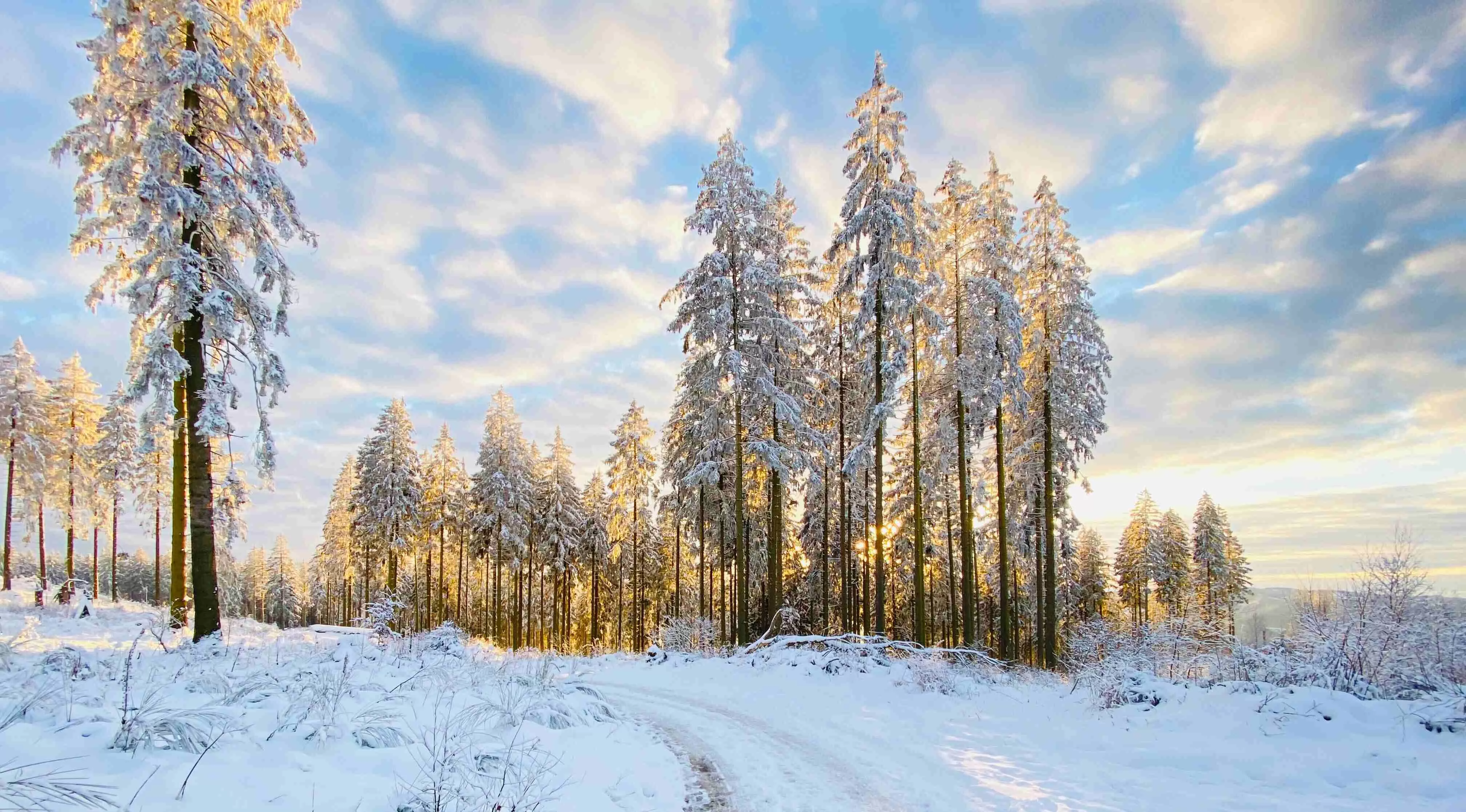 Dit is de beste tijd om Sauerland te bezoeken